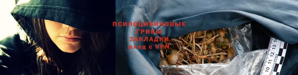 прущие крисы Медвежьегорск