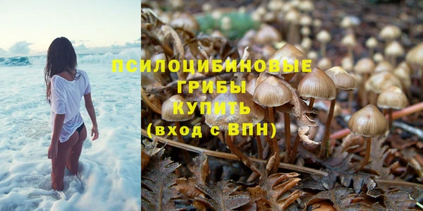 шишки Абдулино