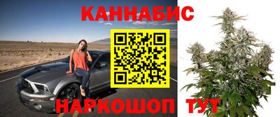СК Кандалакша