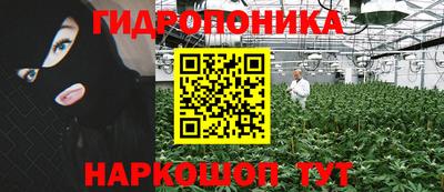 СК Кандалакша